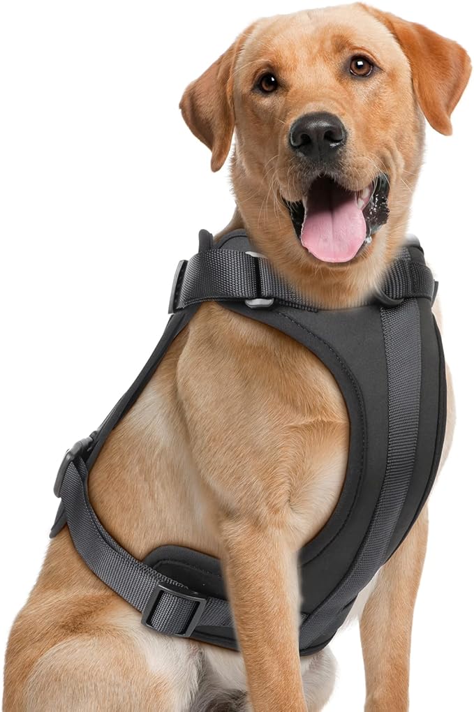 No Pull Lightweight Dog Harness: Adjustable Durable Breathable Mesh Pet Vest Harness with Soft & Comfortable Cushion, for Small Medium Large Dogs (L, Black)