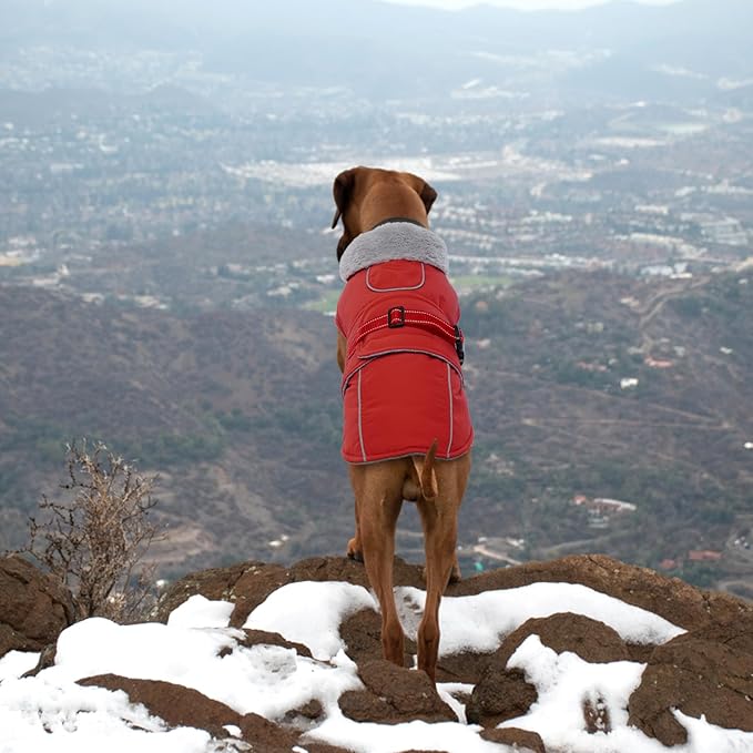 Lelepet Warm Dog Coat - Reflective Waterproof Fleece Vest with Adjustable Buckle Hook & Loop, Windproof Winter Jacket Dog Coats for Small Medium Large Dogs, Red, XL