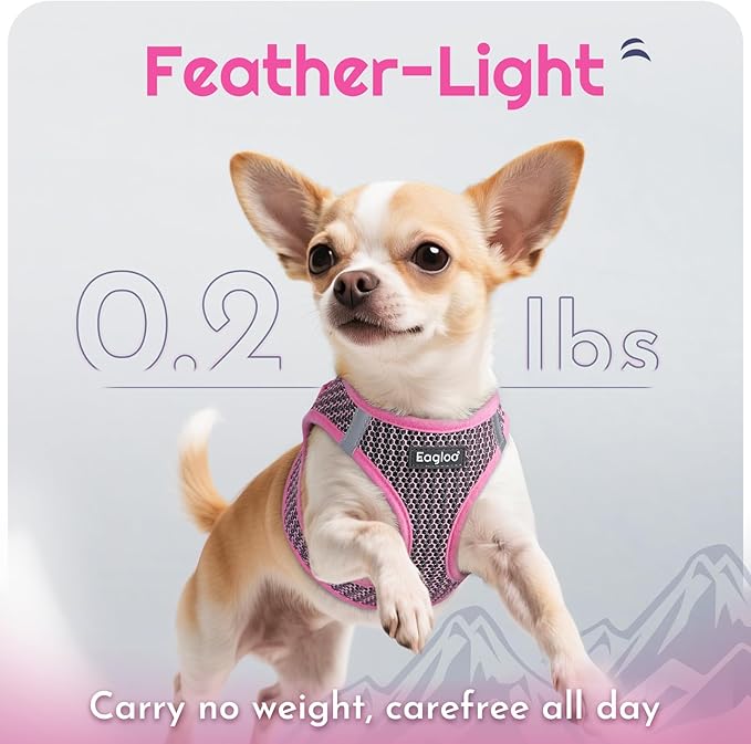 Eagloo Small Dog Harness and Leash Set, Step in Puppy Vest with Breathable Soft Mesh, Walking Reflective Pet Harness for Extra Small Dogs, Pink, XXS