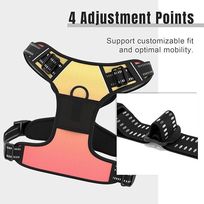 Rnivvi No Pull Dog Harness, Cute Reflective Medium Sized Puppy Harness, Adjustable Soft Padded Vest for Medium Dogs, Heavy Duty Pet Vest with Easy Control Handle for Walking, Abstract Gradient