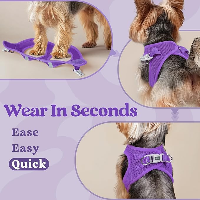 rabbitgoo Small Dog Harness, Step-in Soft Mesh Puppy Vest with Safety Buckle, Breathable Reflective Pet Harness for Small Sized Dogs, Purple M
