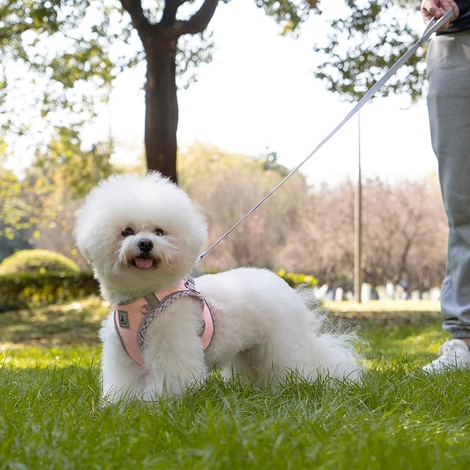 Dog Harness & Leash Set - No Pull Soft Breathable Small Dog Harness, Adjustable Reflective Step-in Vest for Puppy, Kitten, Cats