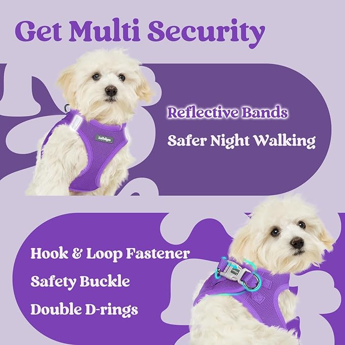 rabbitgoo Small Dog Harness, Step-in Soft Mesh Puppy Vest with Safety Buckle, Breathable Reflective Pet Harness for Extra Small Dogs, Purple XXS