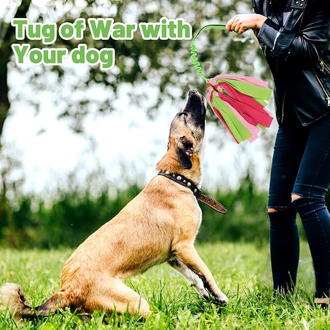 wodoca Interactive Dog Toys, Dog Rope Toys for Aggressive Chewers -Tough Rope Tug of War Dog Toys, Dog Tug Toy for Boredom for Small Medium Puppy Interacting Games (Green)