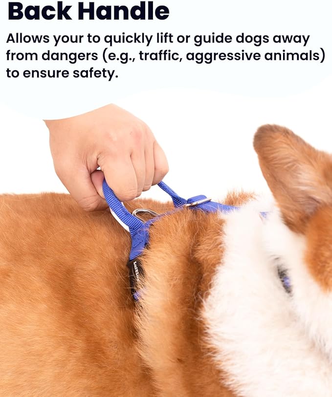Non-Restrictive Dog Harness Medium Sized Dog, Easy Walk Freedom No Pull Harness, Keep Balance, Neck-Buckle, Six Points Adjustment, 2 Leash Clips for Back/Front Clip, Blue/Black