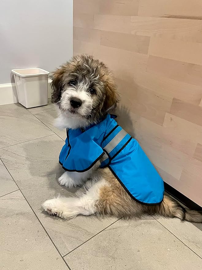Dog Raincoat - Reflective Waterproof Dog Rain Jacket with Hoodie Lightweight Rain Coat for Small Medium Large Dogs (Small, Blue)