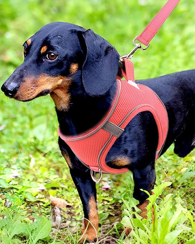 Joytale Small Dog Harness, Breathable Mesh Step-in Vest, Reflective Soft Padded Harnesses for Small and Medium Dogs, Pink, M