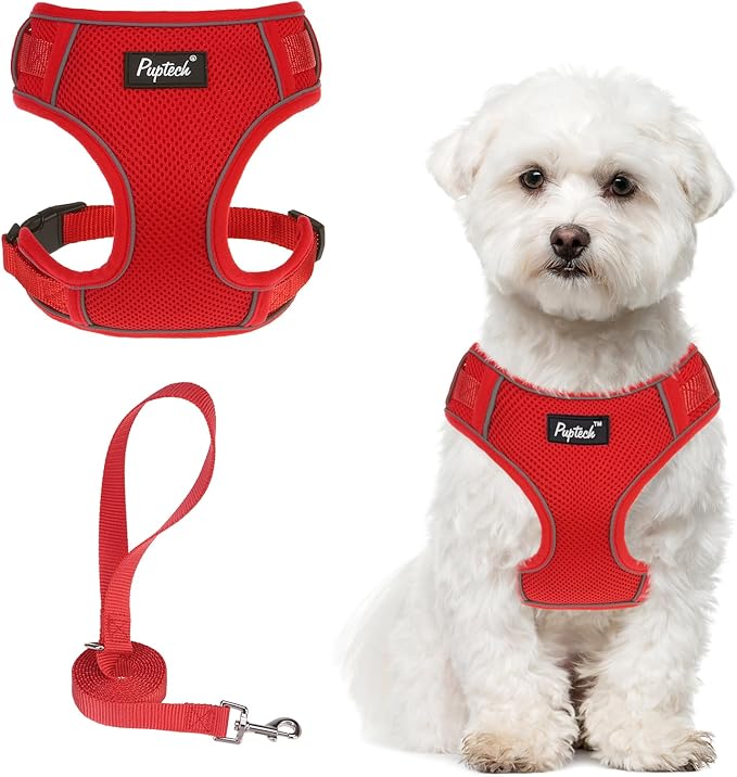 PUPTECK Small Dog Harness and Leash Set, No Pull Adjustable Puppy Cat Harness, Reflective Soft Mesh Pet Vest Small Sized