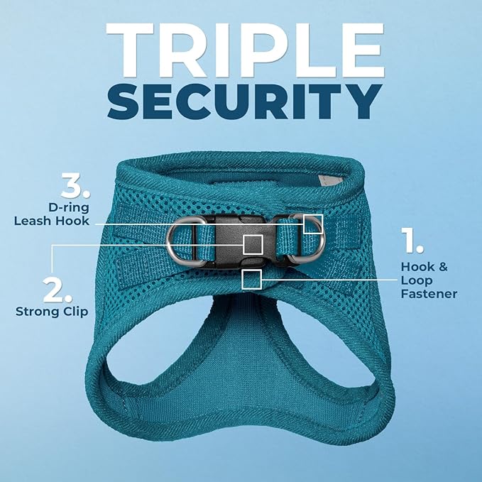 Voyager Step-in Pet Harness - All Weather Mesh, Adjustable Step in Harness for Cats and Dogs by Best Pet Supplies - 307S Turquoise, S