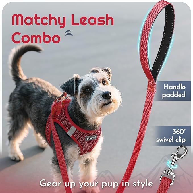 Eagloo Small Dog Harness and Leash Set, Step in Puppy Vest with Breathable Soft Mesh, Walking Reflective Pet Harness for Extra Small Dogs, Red, XXS