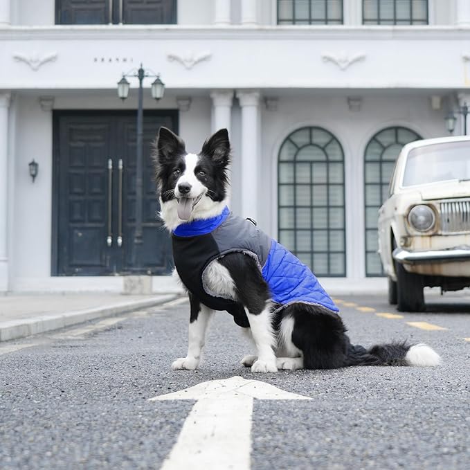 Warm Fleece Dog Coats for Large Dogs,D-Rings Waterproof Puppy Jacket for Cold Winter,Blue XXL
