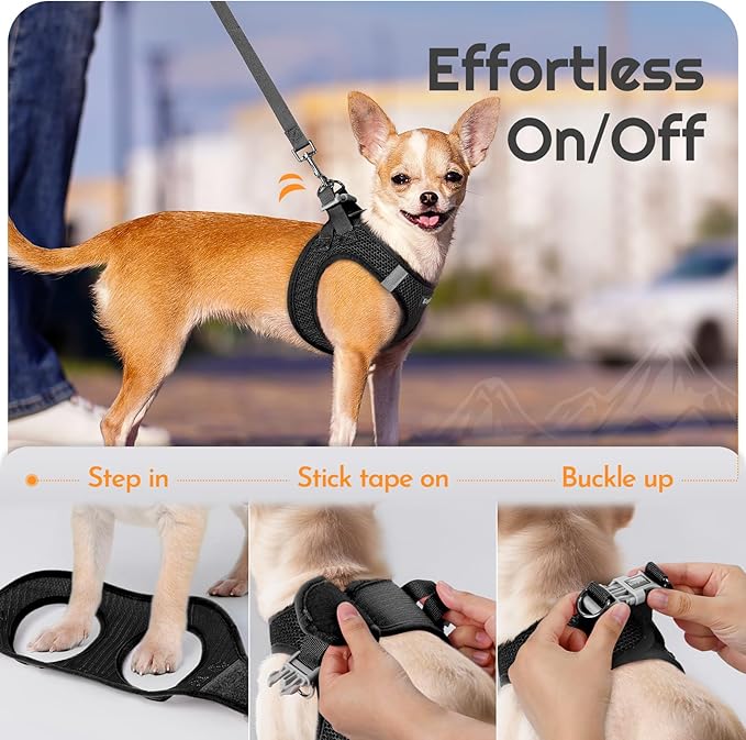 Eagloo Small Dog Harness and Leash Set, Step in Puppy Vest with Breathable Soft Mesh, Walking Reflective Pet Harness for Medium Small Dogs, Black, L