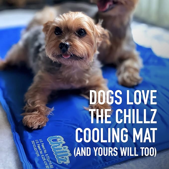 The Green Pet Shop Chillz Gel Mat, Extra Large - Pressure-Activated Cooling Pad for Pets Over 50 lbs - Non-Toxic, No Water or Refrigeration Needed - Ideal for Home, Travel & Crates