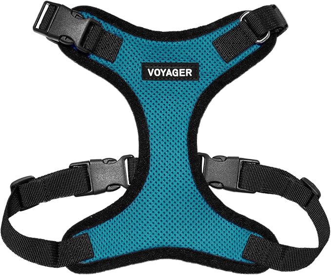 Voyager Step-in Pet Harness - All Weather Mesh, Adjustable Step in Harness for Cats and Dogs by Best Pet Supplies - Turquoise/Black Trim, M