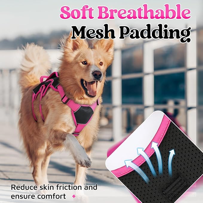 rabbitgoo Escape Proof Dog Harness Medium, Soft Padded Full Body Pet Harness, Reflective Adjustable No Pull Vest with Lift Handle and Leash Clip for Walking Hiking Training, Pink & Black, M