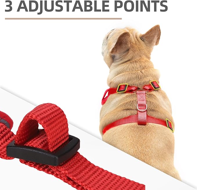 PUPTECK Small Dog Harness and Leash Set, No Pull Adjustable Puppy Cat Harness, Reflective Soft Mesh Pet Vest Small Sized, Plaid Christmas Red M