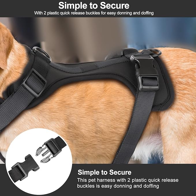 No Pull Lightweight Dog Harness: Adjustable Durable Breathable Mesh Pet Vest Harness with Soft & Comfortable Cushion, for Small Medium Large Dogs (Medium, Black)