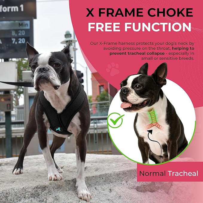 Gooby Comfort X Head in Harness - Black, Small - No Pull Dog Harness, Patented Choke-Free X Frame - Perfect on The Go Dog Harness for Medium Dogs No Pull or Small Dogs for Indoor and Outdoor Use