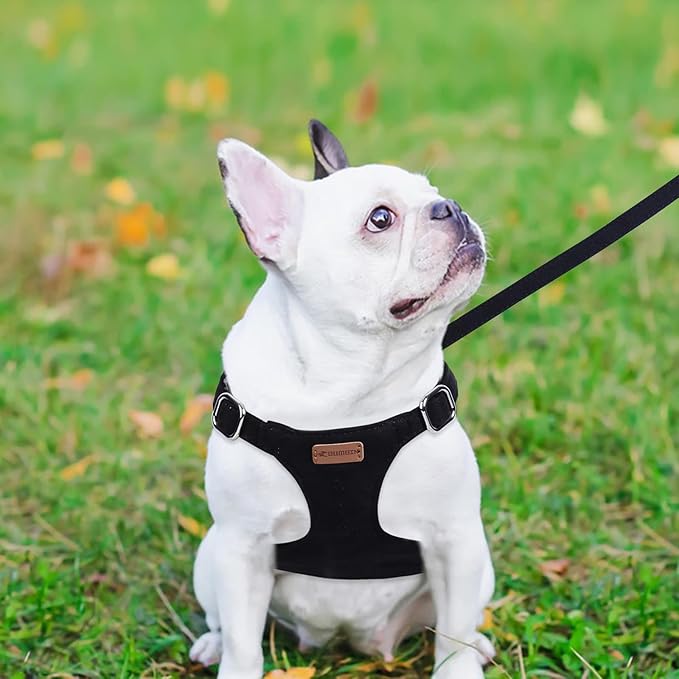 Dog Harness and Leash Set, XXS No Pull Adjustable Puppy Harness with Multifunction Pink Dog Leash and Dog Collar, Soft No Choke Escape Proof Pet Harness Vest for Small Dogs and Cats (Black, XS)