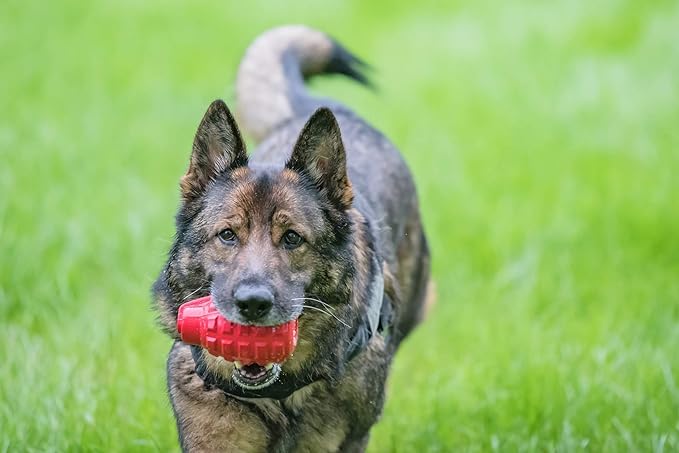 SodaPup USA-K9 Grenade – Durable Dog Treat Dispenser and Chew Toy Made in USA from Non-Toxic, Pet Safe, Food Safe Natural Rubber Material for Mental Stimulation, Problem Chewing, Calming Nerves & More