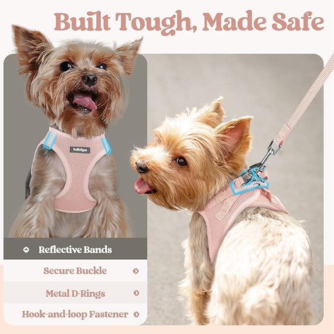 rabbitgoo Dog Harness Small Sized and Leash Set, Step in Soft Light Puppy Vest, Breathable Mesh Pet Harness, Reflective for Safe Outdoor Walking, Pink M