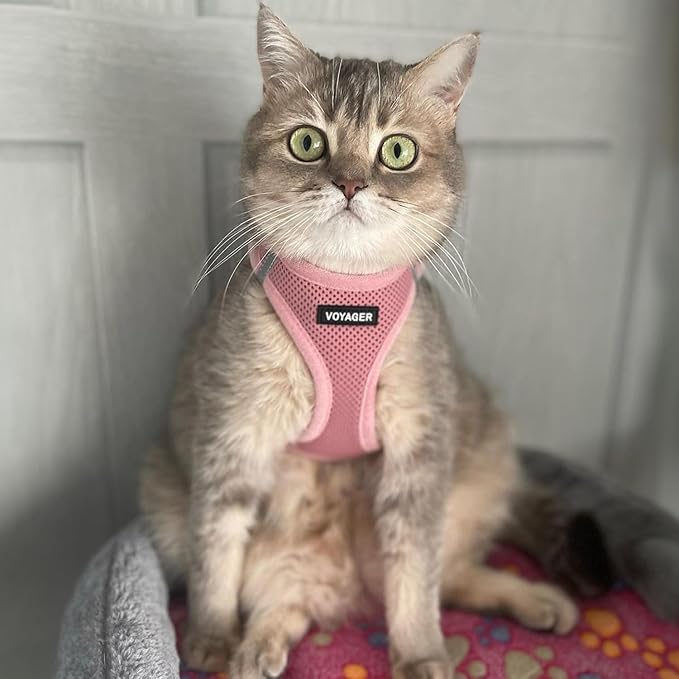 Voyager Step-in Pet Harness - All Weather Mesh, Adjustable Step in Harness for Cats and Dogs by Best Pet Supplies - 307S Pink, XS