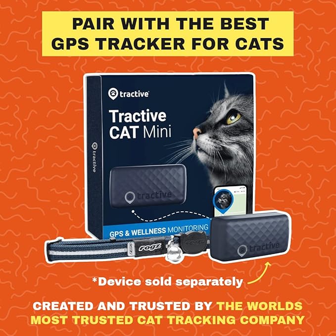 TRAVEL CAT The Pathfinder Cat Harness with GPS Tracker Pocket - Powered by Tractive Cat Harness Escape Proof - Walking Escape Proof Cat Harness for Small, Large, Kitten (Blue, Medium)