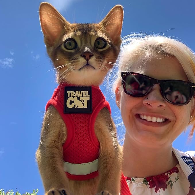 Travel Cat Harness and Leash Set - Adjustable Fit Mesh Cat Harness and Reflective Strap - Comfort Walking Vest for Kitten for Outdoor Walking, Hiking (Medium, Red)