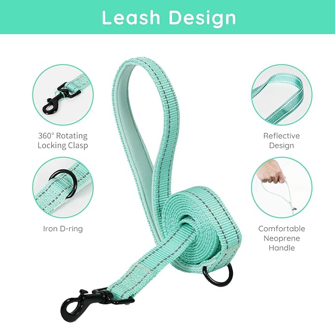 BELLA & PAL Step in Vest Harness for Small and Medium Dogs, No Pull Small Dog Harness with Leash Set, Comfortable Air Mesh Dog Vest Harness with Reflective Strip (Light Green, M)