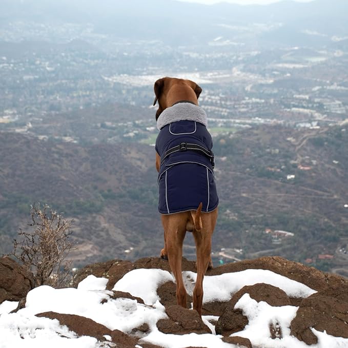 Lelepet Warm Dog Coat Reflective Fleece Vest Waterproof Dog Jacket with Adjustable Buckle Hook & Loop Windproof Cold Weather Coats for Small Medium Large Dogs, Navy Blue, XL