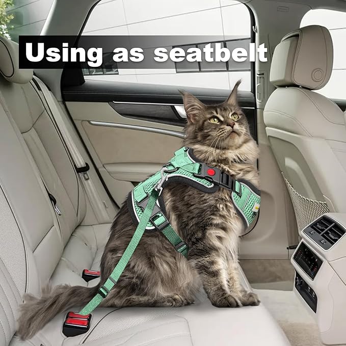 Cat Harness and Leash for Walking, Retractable Cat Harnesses and Leash Set Escape Proof, Breathable Soft Kitten Small Large Harness for Travel Training and Walking, Green, XS
