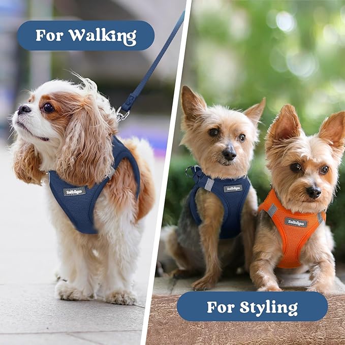 rabbitgoo Small Dog Harness, Step-in Soft Mesh Puppy Vest with Safety Buckle, Breathable Reflective Pet Harness for Extra Small Dogs, Navy Blue XXS