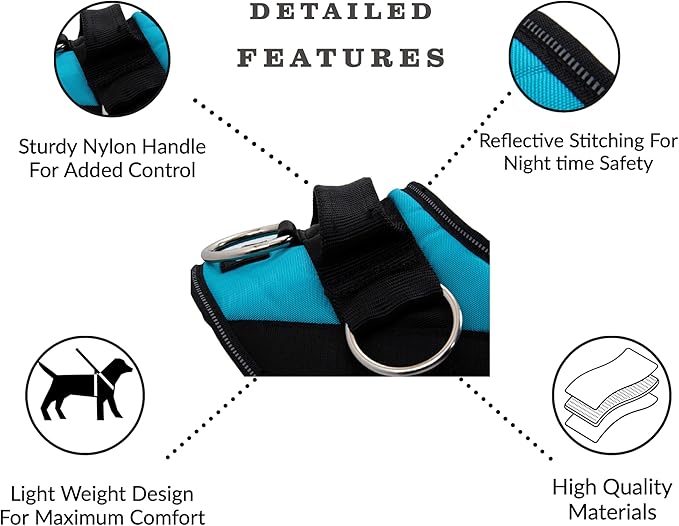 ShawnCo Essential Dog Harness, No-Pull Pet Vest with 3 Leash Clips, No Choke, Reflective, Adjustable and Padded, for Easy Walking and Training for Small, Medium and Large Dogs (Seafoam, XS)