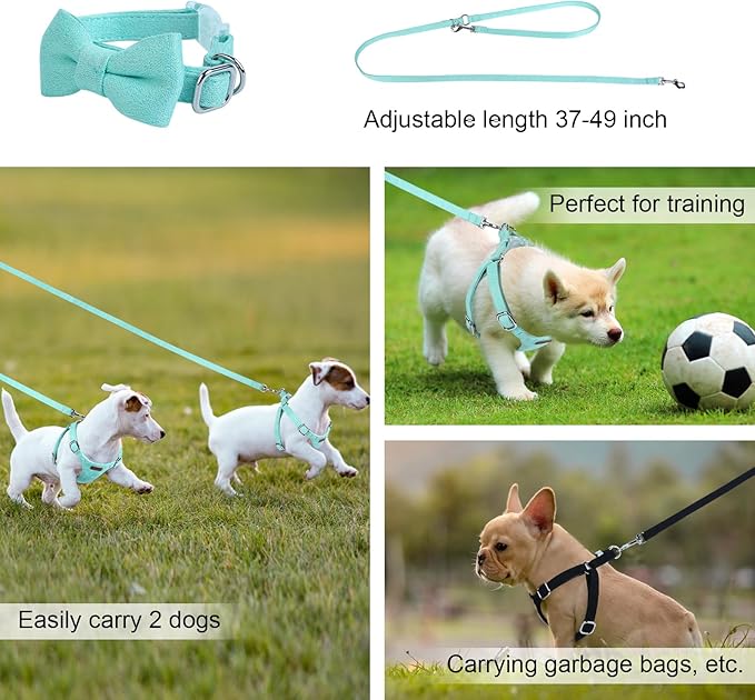 Dog Harness and Leash Set, XXS No Pull Adjustable Puppy Harness with Multifunction Pink Dog Leash and Dog Collar, Soft No Choke Escape Proof Pet Harness Vest for Small Dogs and Cats (Mint Green, S)