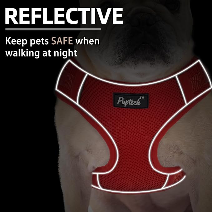 PUPTECK Small Dog Harness and Leash Set, No Pull Adjustable Puppy Cat Harness, Reflective Soft Mesh Pet Vest Small Sized