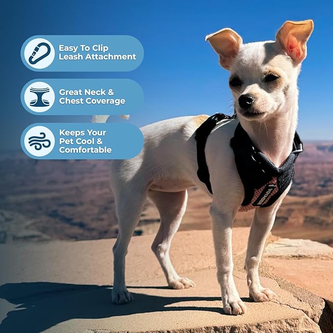 Voyager Step-in Pet Harness - All Weather Mesh, Adjustable Step in Harness for Cats and Dogs by Best Pet Supplies - Pink/Black Trim, XS