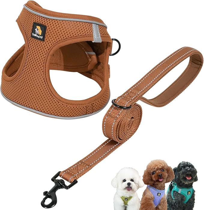 BELLA & PAL Step in Vest Harness for Small and Medium Dogs, No Pull Small Dog Harness with Leash Set, Comfortable Air Mesh Dog Vest Harness with Reflective Strip (Mokka, XXS)