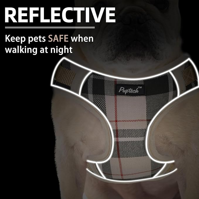 PUPTECK Small Dog Harness and Leash Set, No Pull Adjustable Puppy Cat Harness, Reflective Soft Mesh Pet Vest Small Sized