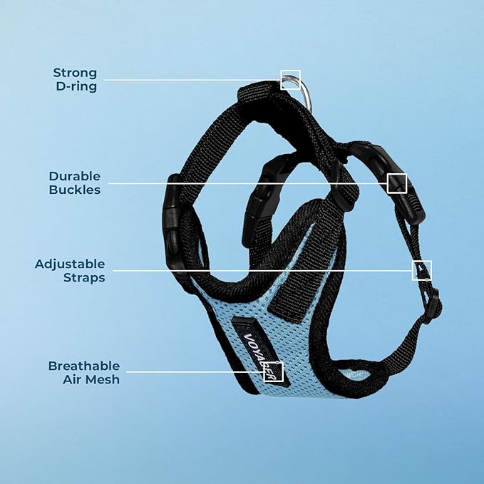 Voyager Step-in Pet Harness - All Weather Mesh, Adjustable Step in Harness for Cats and Dogs by Best Pet Supplies - Baby Blue/Black Trim, XS