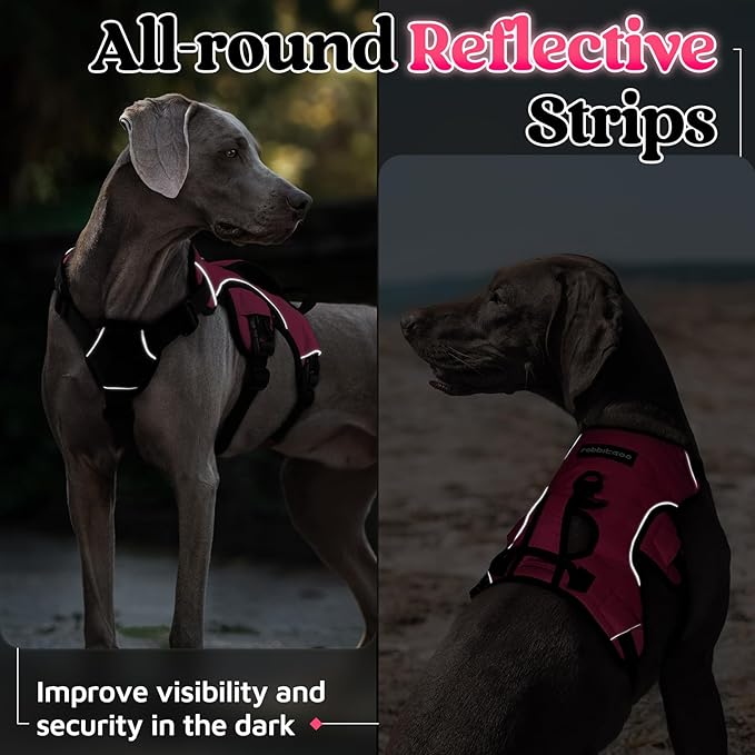 rabbitgoo Escape Proof Dog Harness, Soft Padded Full Body Pet Harness, Reflective Adjustable No Pull Vest with Lift Handle and Leash Clip for Large Dogs Walking Hiking Training, XL, Pink