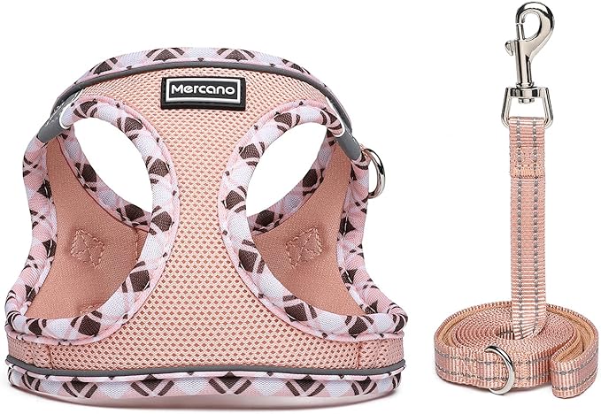 Mercano Soft Mesh Dog Harness and Leash Set, No-Chock Step-in Reflective Breathable Lightweight Easy Walk Vest Harnesses with Safety Buckle for Small Dogs, Cats (Champagne, S)