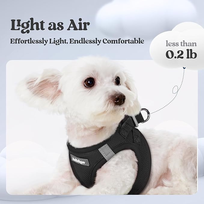 rabbitgoo Dog Harness Small Sized and Leash Set, Step in Soft Light Puppy Vest, Breathable Mesh Pet Harness, Reflective for Outdoor Safe Walking, Black XL