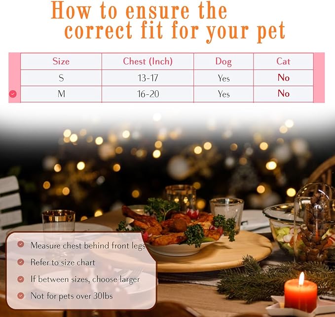 Comfort Fit Dog Harness for Small Medium Large Dogs No Pull Adjustable Pet Harness Easy Control Soft Padded Step in Dog Cat Harness for Walking Running Training All Weather Premium Dog Vest