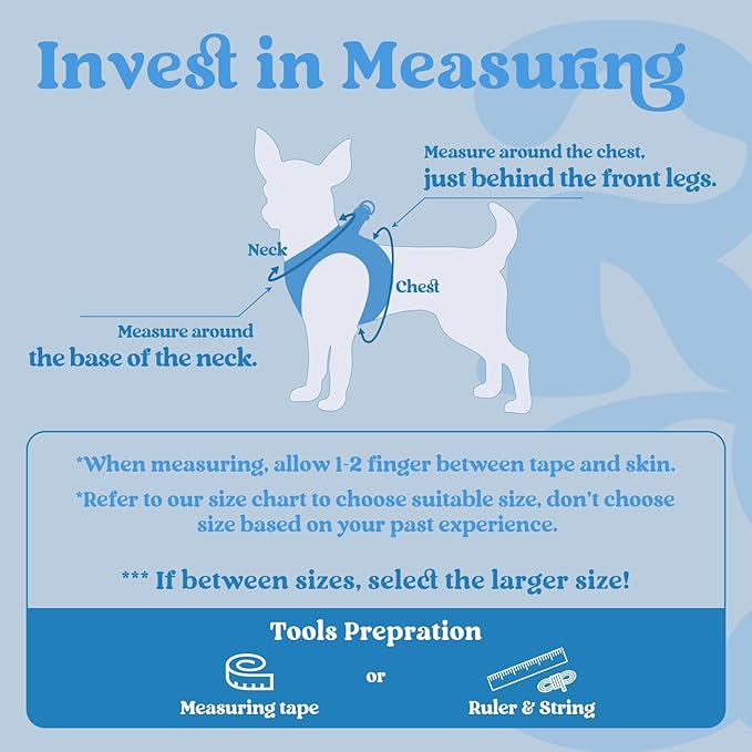 rabbitgoo Small Dog Harness, Step-in Soft Mesh Puppy Vest with Safety Buckle, Breathable Reflective Pet Harness for Small Sized Dogs, Blue S