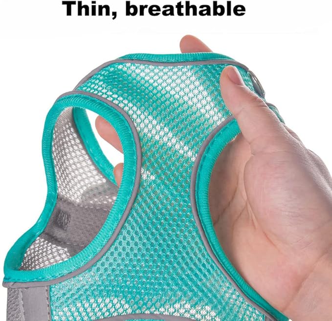 XSmall Dog Harness and Leash Set, No-Pull Puppy Harness for Easy Walk, Breathable Mesh Reflective Cat Vest for XXS Xs Small Medium Breed Pet Dogs, Pink Blue XS