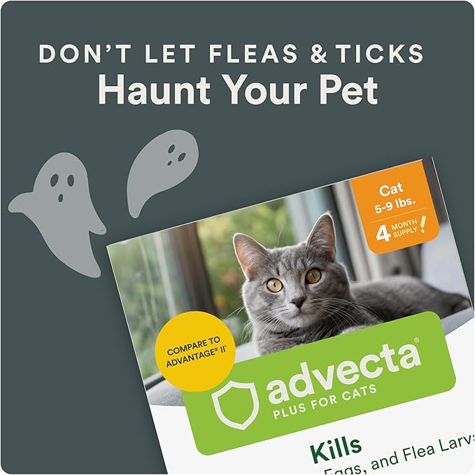 Advecta Plus Topical Flea Treatment for Cats and Kittens, Flea Prevention and Control, Small & Large, Fast-Acting Waterproof Drops, 6-Month Supply