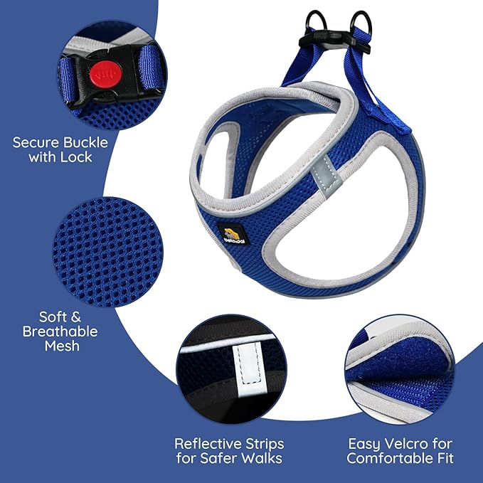 BELLA & PAL Step in Vest Harness for Small and Medium Dogs, No Pull Small Dog Harness with Leash Set, Comfortable Air Mesh Dog Vest Harness with Reflective Strip (Sapphire(Round Rope), S)