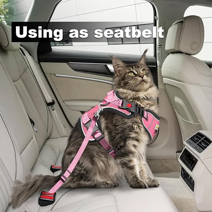 Cat Harness and Leash for Walking, Retractable Cat Harnesses and Leash Set Escape Proof, Breathable Soft Kitten Small Large Harness for Travel Training and Walking, Pink, XS