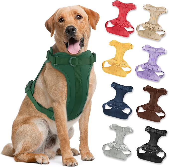 No Pull Lightweight Dog Harness: Adjustable Durable Breathable Mesh Pet Vest Harness with Soft & Comfortable Cushion, for Small Medium Large Dogs (L, Pine Green)