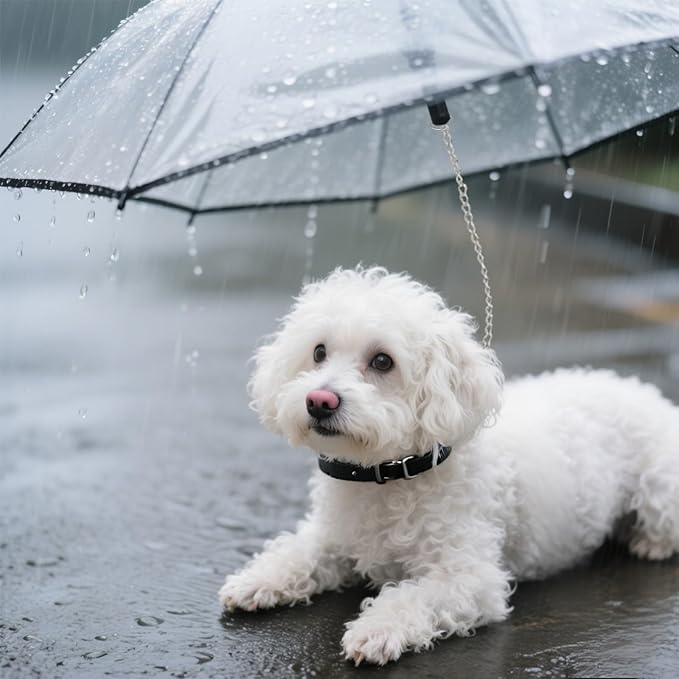 NAMSAN Dog Umbrella for Small Dogs, Clear Dog Umbrella Leash for Rainy Day, Walking Puppy Umbrella with Metal Chain, Self-Assembly, Adjustable